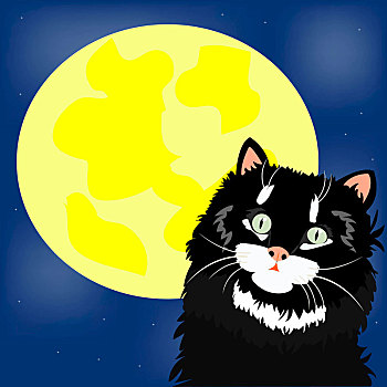 黑猫,月亮
