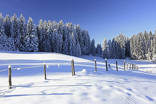 冬季风景,巴伐利亚,德国,欧洲