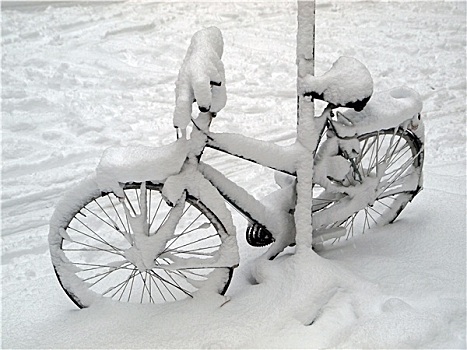 自行车,雪地