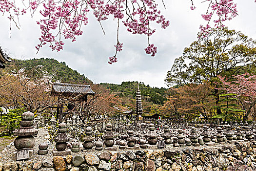 石头,佛像,排列,广场,庙宇,岚山,京都,日本