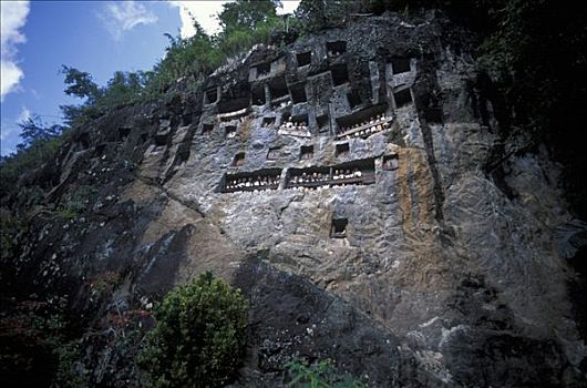 悬崖,墓穴,乡村,苏拉威西岛,印度尼西亚