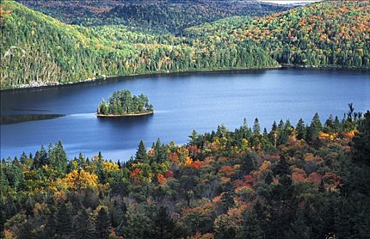 小,岛屿,湖,围绕,树,变化,秋色,深秋,国家,摩利斯,加拿大