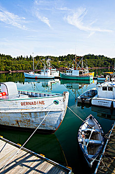 渔船,捆绑,码头,芬地湾,新布兰斯维克,加拿大