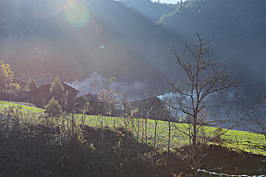 雾里村