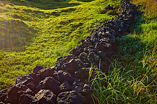 石墙,土地,毛伊岛,夏威夷,美国
