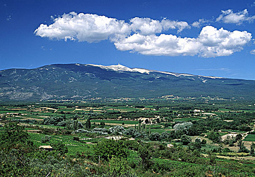 横图,法国,普罗旺斯,风景,山