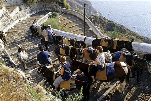游客,驴,马,风景,楼梯,锡拉岛,基克拉迪群岛,爱琴海,地中海,希腊,欧洲