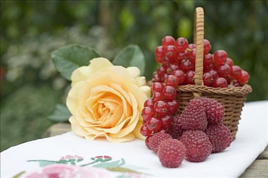 树莓,红醋栗,篮子,黄玫瑰,桌上