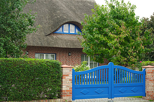 房子,后面,蓝色,大门
