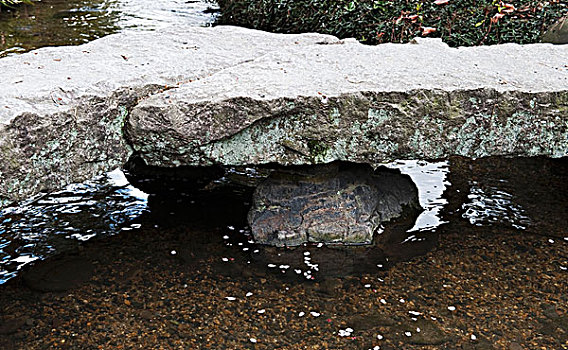 一对,石头,桥,河流,花园,京都