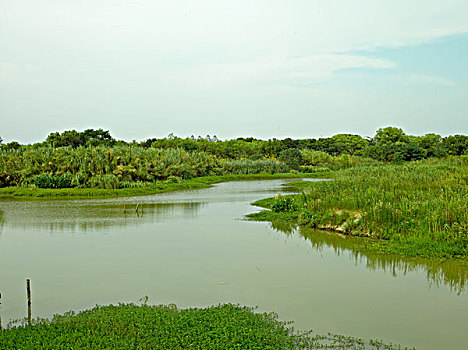 杭州西溪湿地