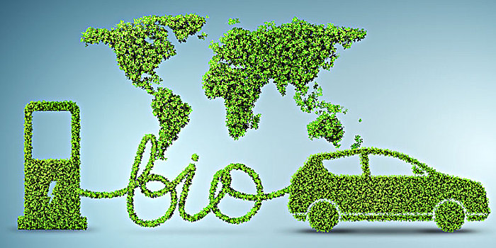 汽车,生物燃料