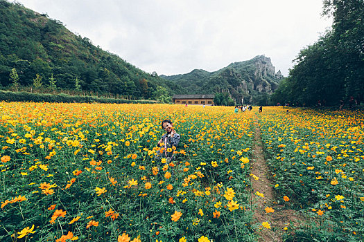 丽水仙都