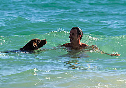 男人,游泳,狗,海洋