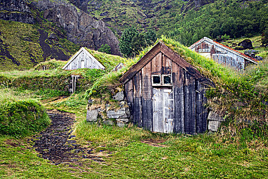 乡村,农场,草,屋顶,建筑,冰岛