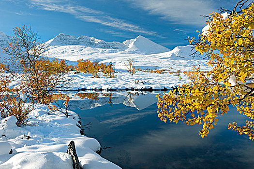 冬天,国家,公园,挪威,斯堪的纳维亚,欧洲