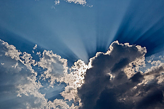 阳光,条纹,云,马赛马拉,肯尼亚
