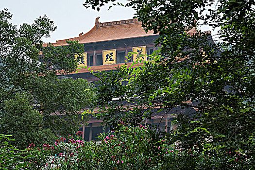 宁宝林季明宇是什么电视剧