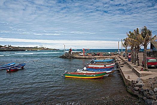智利,复活节岛,拉帕努伊,港口,区域,汉加洛,小湾,彩色,渔船,大幅,尺寸