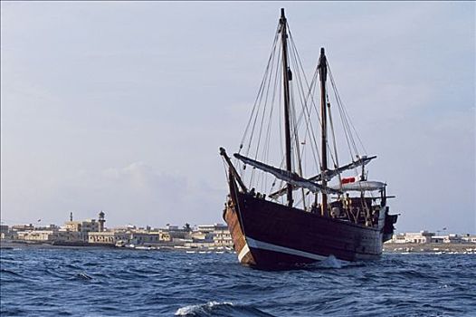 传统,独桅三角帆船,输入,印度洋