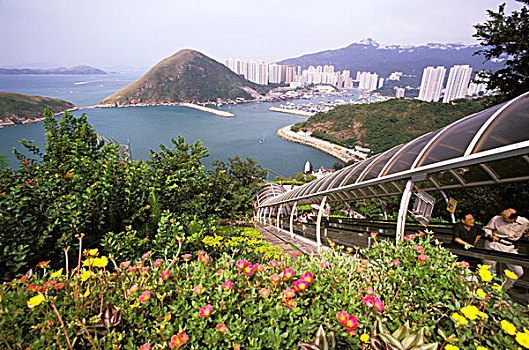 亚洲,中国,香港,海洋,公园,主题公园