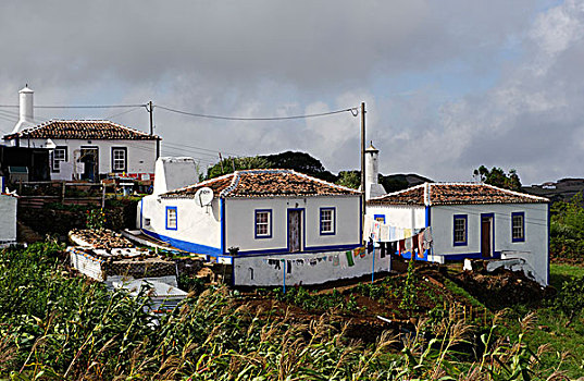 乡村,北方,岛屿,玛丽亚,亚速尔群岛,葡萄牙