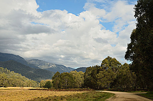 乡间小路,哥斯高国家公园,新南威尔士,澳大利亚