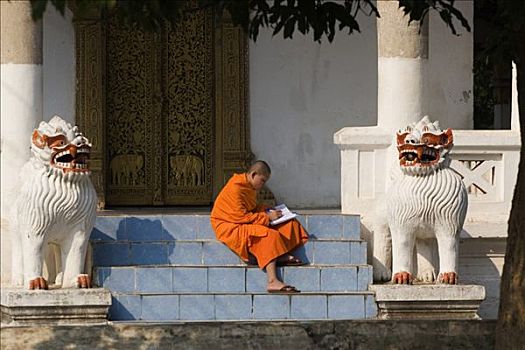 年轻,僧侣,文字,坐,楼梯,庙宇,琅勃拉邦,老挝,亚洲