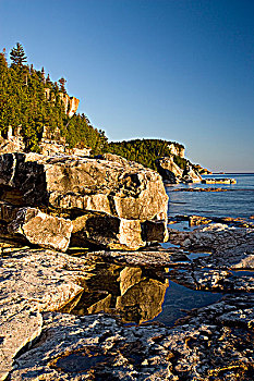 尼亚加拉,悬崖,原木,垃圾,国家公园,靠近,安大略省,加拿大