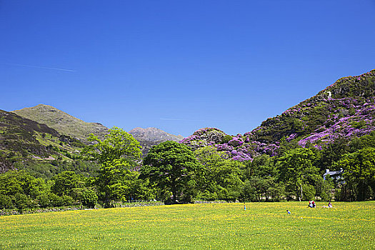 威尔士,格温内思郡,雪墩国家公园,地点,山,风景