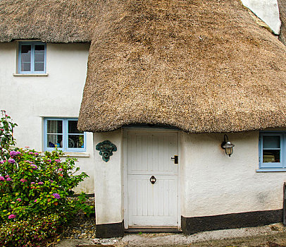 房子,茅草屋顶,稻草,希望,德文郡,英格兰,英国,欧洲
