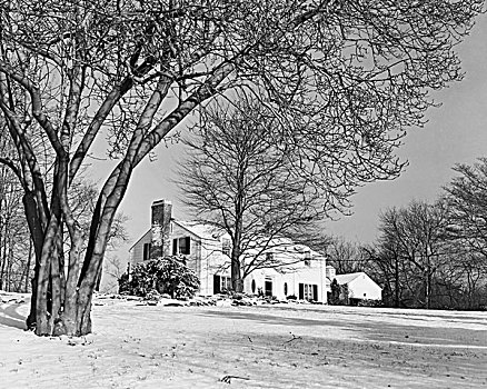 房子,积雪,风景