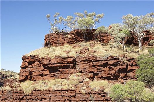 岩石构造,峡谷,卡瑞吉尼国家公园,区域,西澳大利亚