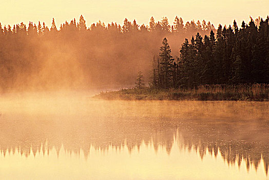 白贝,河,怀特雪尔省立公园,曼尼托巴,加拿大