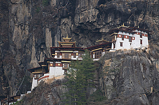 寺院,山,地区,不丹
