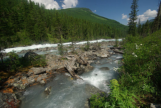 山,河,水流,峡谷,石头,岩石,陆地,靠近,漂亮,山景