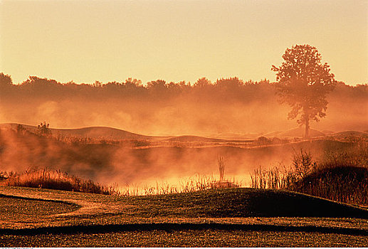 晨雾,高尔夫球场,安大略省,加拿大