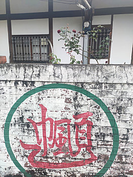 台湾街道涂鸦