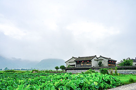 田野乡村