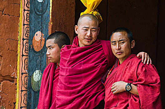 年轻,僧侣,看,不丹,节日,跳舞