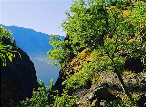 火山口,国家公园,帕尔玛