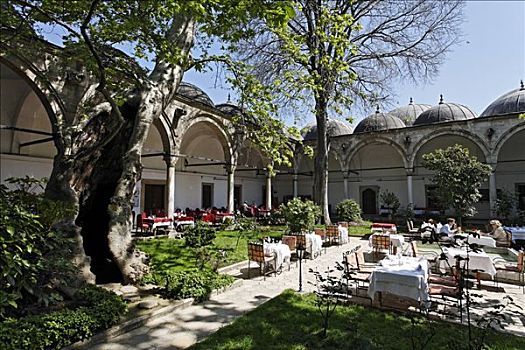 院落,餐馆,清真寺,伊斯坦布尔,土耳其