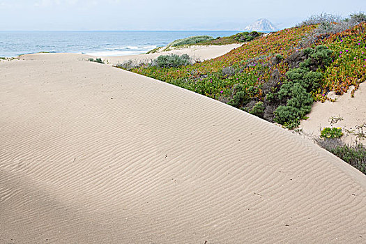 俯视图,沙丘,加利福尼亚,美国