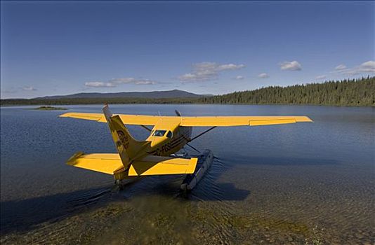 滑行,水上飞机,两栖飞机,北美驯鹿,湖,不列颠哥伦比亚省,育空地区,加拿大,北美