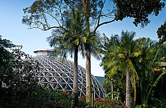 热带,展示,圆顶,布里斯班,植物园,昆士兰