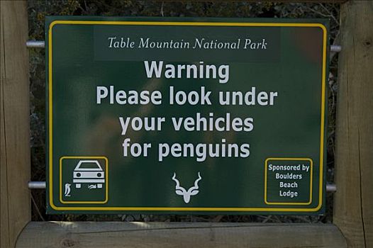 警告标识,企鹅,南非