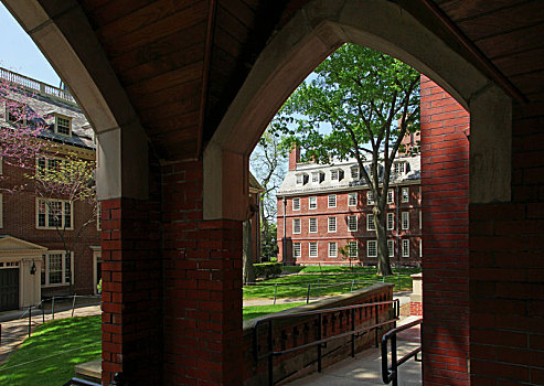 哈佛大学,harvard,university