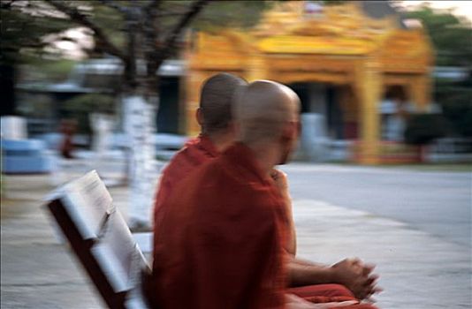 缅甸,靠近,曼德勒,庙宇,僧侣,坐,长椅