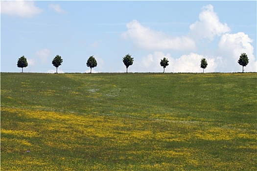 风景