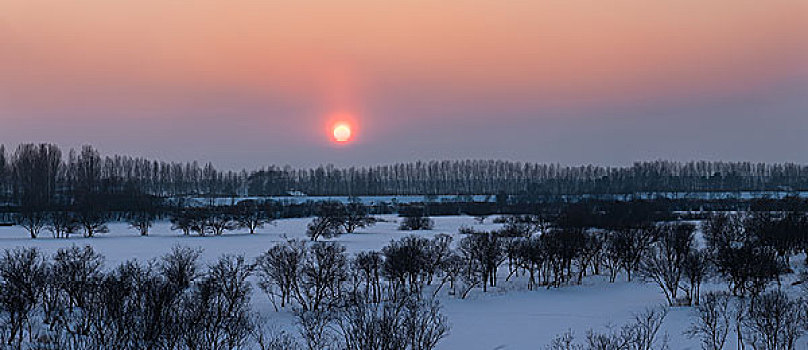 黑龙江三江平原冬景